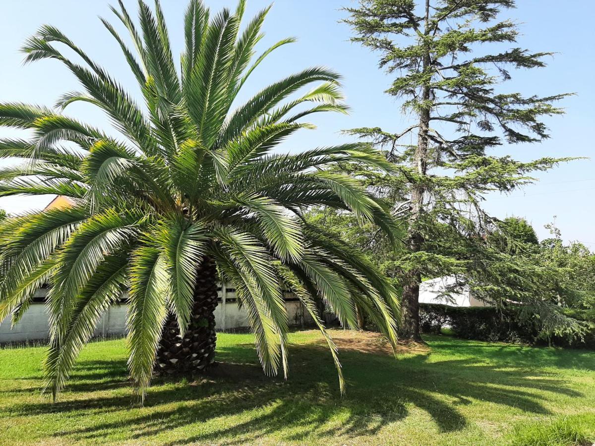 Casa De Verano La Gaviota En Asturias Villaviciosa  Luaran gambar